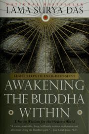 Tapa de Awakening the Buddha within