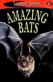 Tapa de Amazing bats