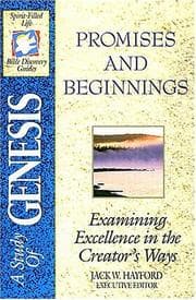 Tapa de Promises and beginnings