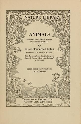 Tapa de Animals