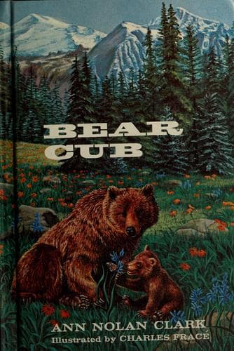 Tapa de Bear cub