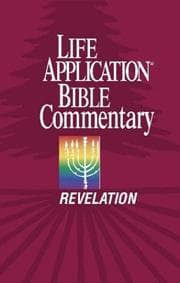 Tapa de Revelation