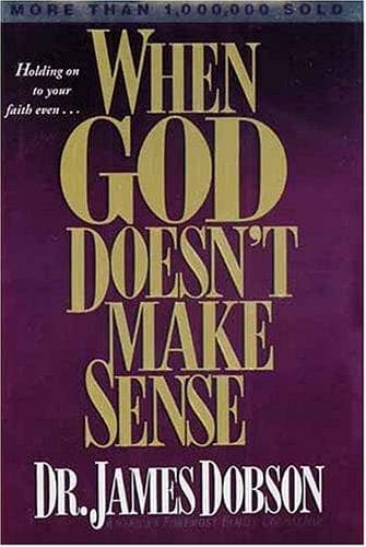 Tapa de When God Doesn't Make Sense