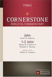 Tapa de Gospel of John, 1-3 John