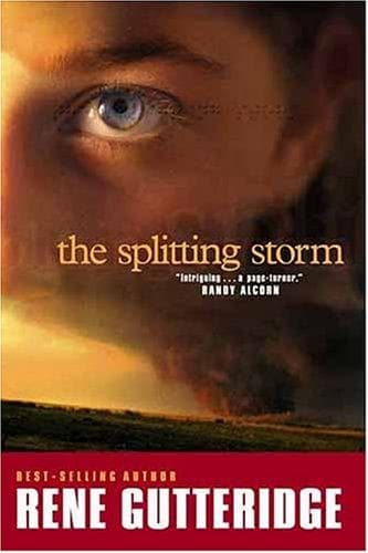 Tapa de The splitting storm