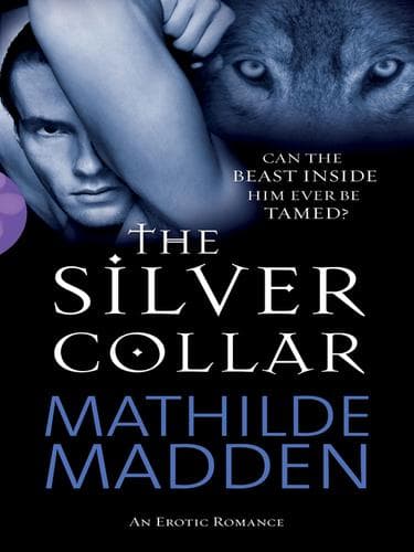 Tapa de The Silver Collar