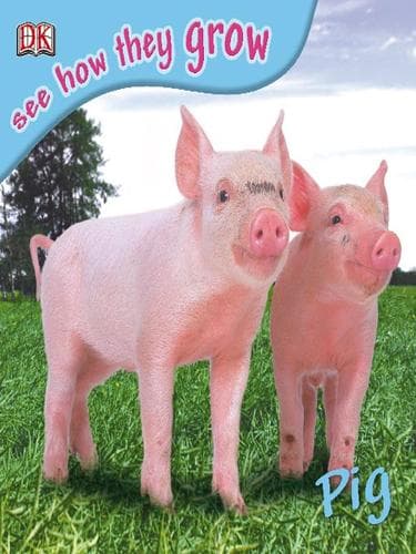 Tapa de Pig