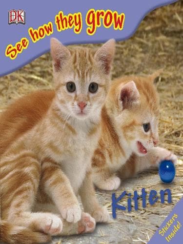 Tapa de Kitten