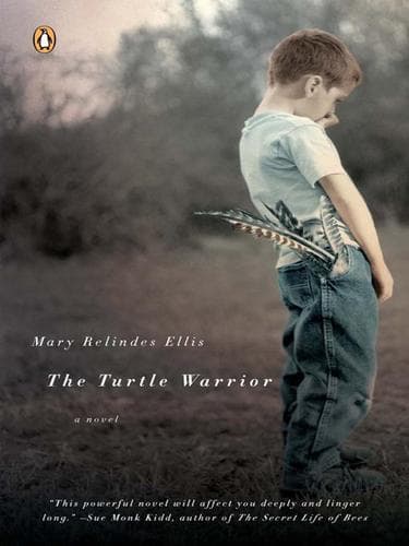 Tapa de The Turtle Warrior