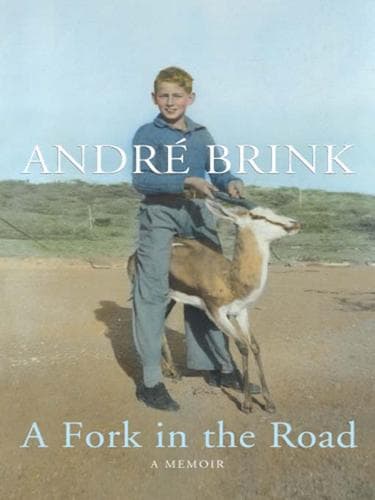 Tapa de A Fork in the Road