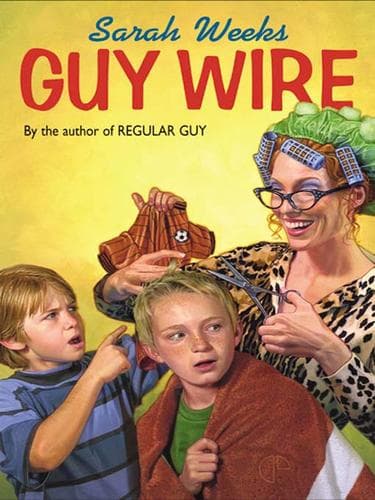Tapa de Guy Wire