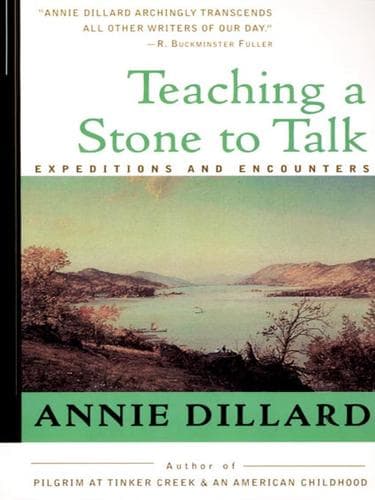 Tapa de Teaching a Stone to Talk
