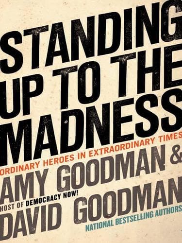 Tapa de Standing Up to the Madness