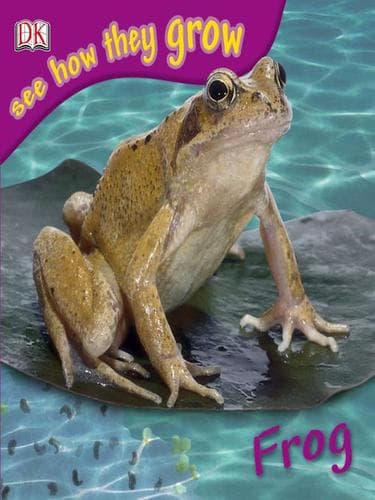 Tapa de Frog
