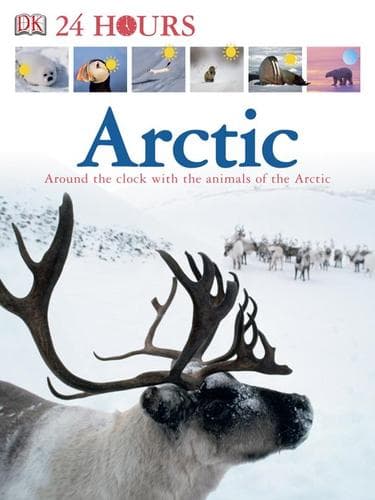 Tapa de Arctic