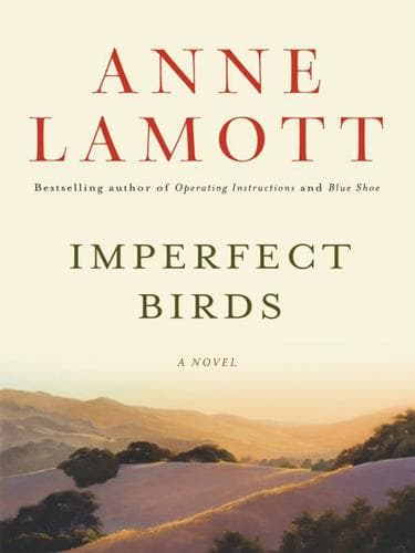 Tapa de Imperfect Birds