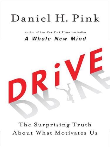 Tapa de Drive