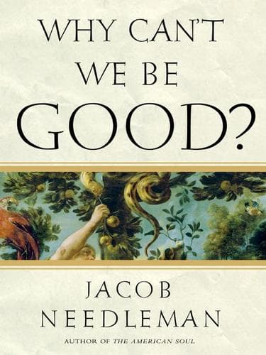 Tapa de Why Can't We Be Good?