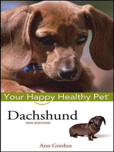 Tapa de Dachshund
