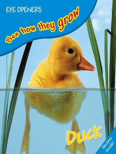 Tapa de Duck