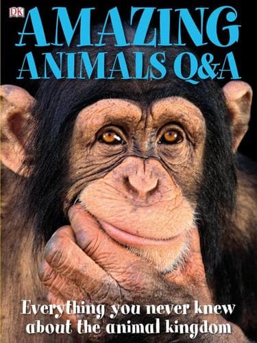 Tapa de Amazing Animals Q & A