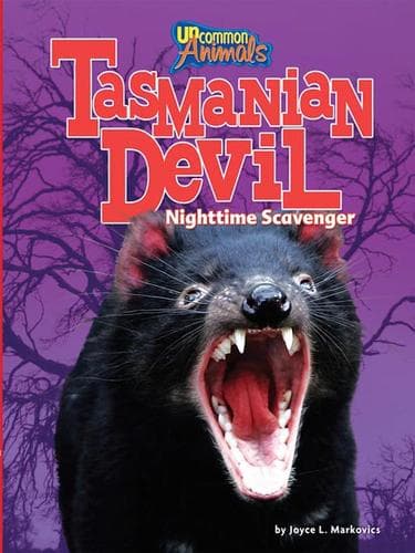 Tapa de Tasmanian Devil