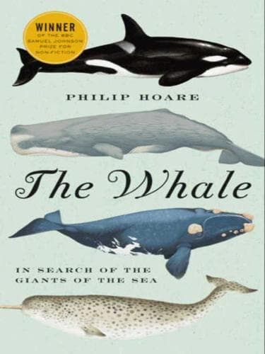 Tapa de The Whale