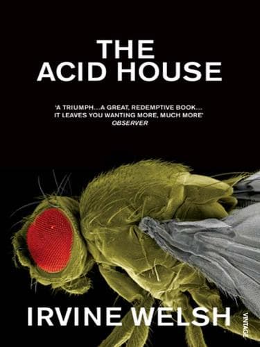 Tapa de The Acid House