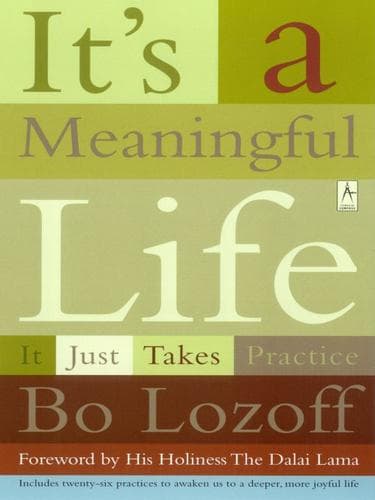 Tapa de It's a Meaningful Life