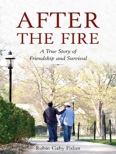 Tapa de After the Fire