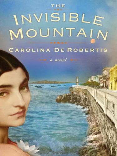 Tapa de The Invisible Mountain
