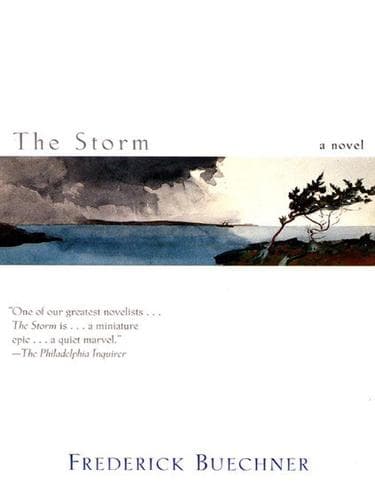 Tapa de The Storm