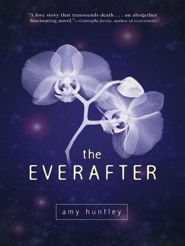 Tapa de The Everafter
