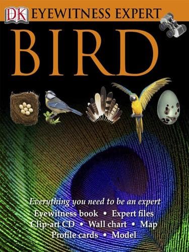 Tapa de Bird