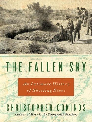 Tapa de The Fallen Sky