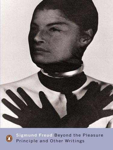 Tapa de Beyond the Pleasure Principle