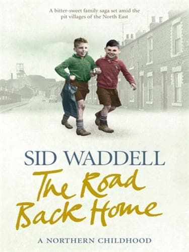 Tapa de The Road Back Home