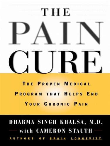 Tapa de The Pain Cure