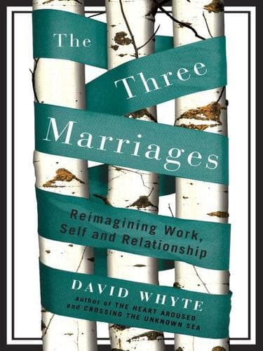 Tapa de The Three Marriages