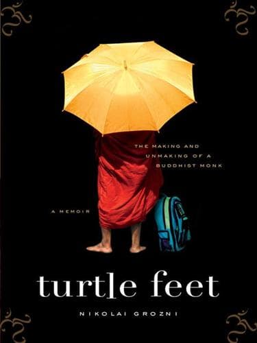 Tapa de Turtle Feet