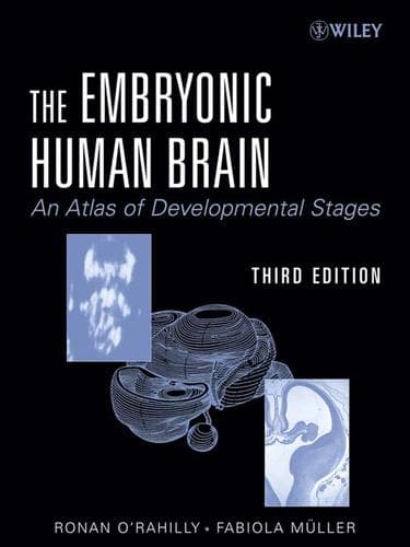 Tapa de The Embryonic Human Brain