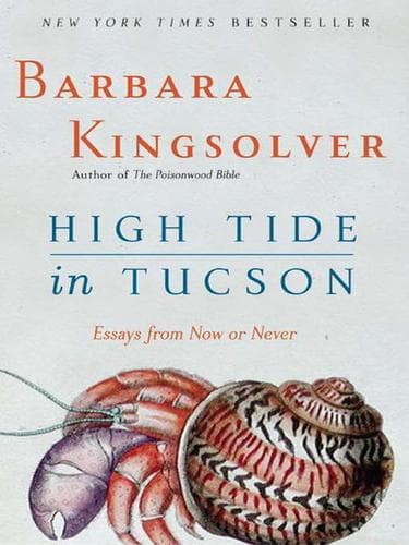 Tapa de High Tide in Tucson