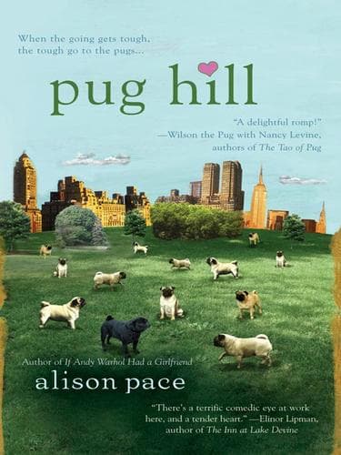Tapa de Pug Hill