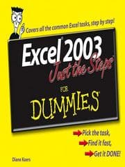 Tapa de Excel 2003 just the steps for dummies