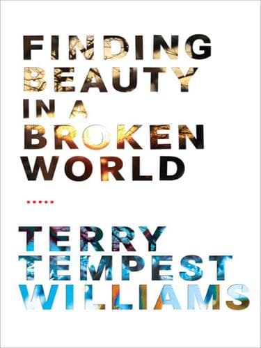 Tapa de Finding Beauty in a Broken World