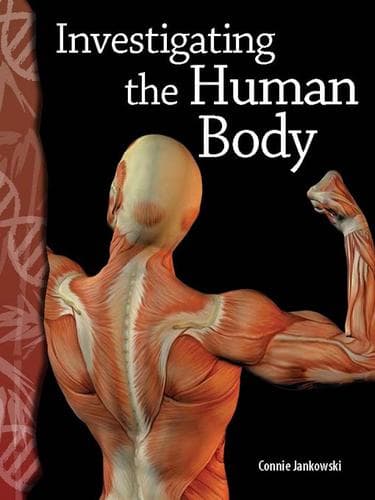 Tapa de Investigating the Human Body