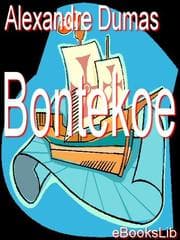 Tapa de Bontekoe