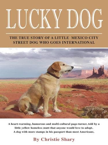 Tapa de Lucky Dog