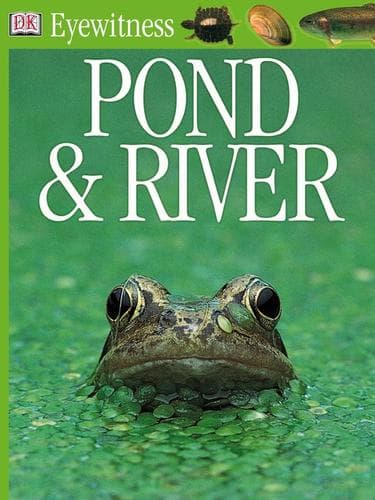Tapa de Pond and River