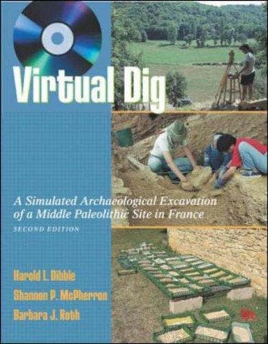 Tapa de Virtual Dig